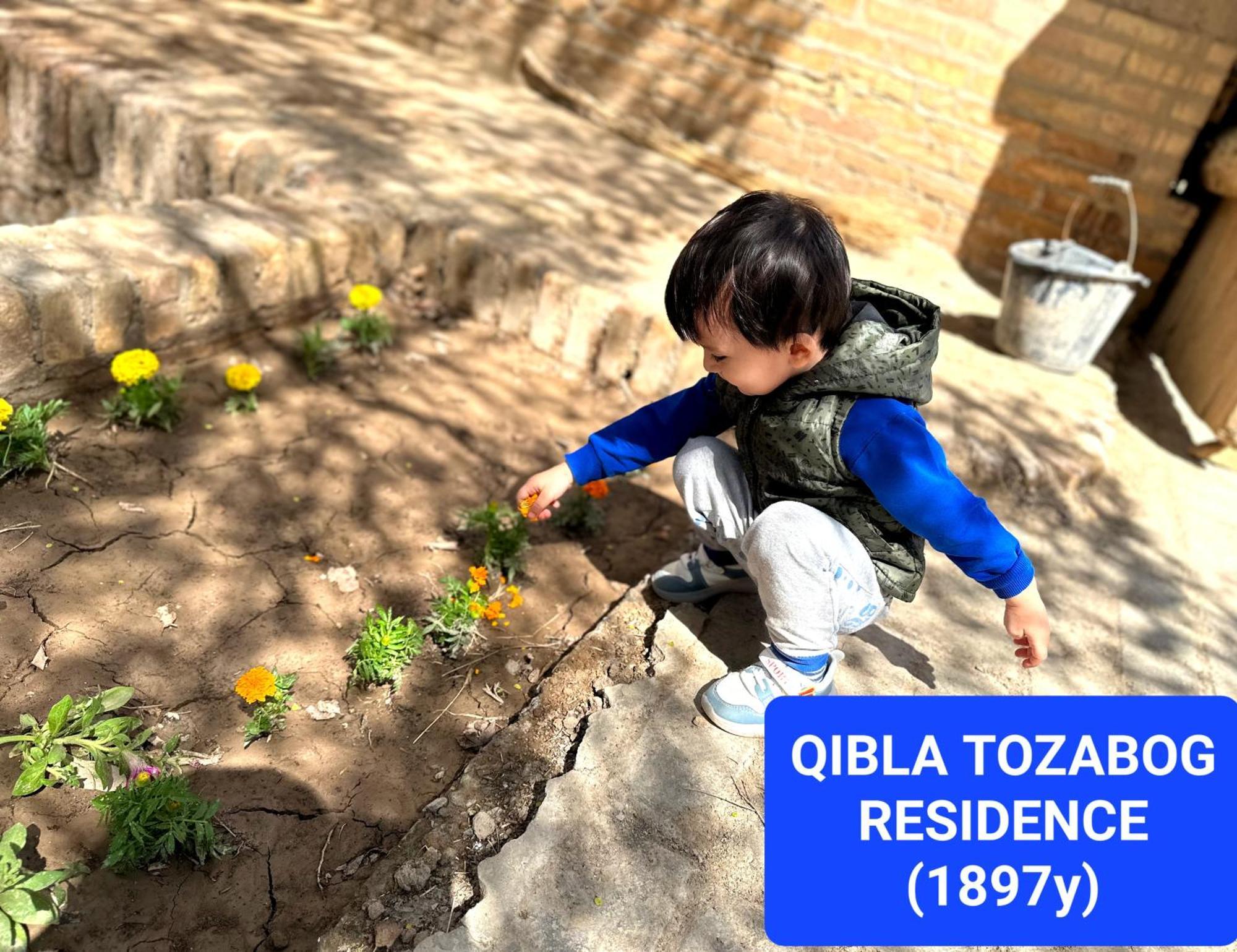 Hotel Qibla Tozabog à Khiva Extérieur photo